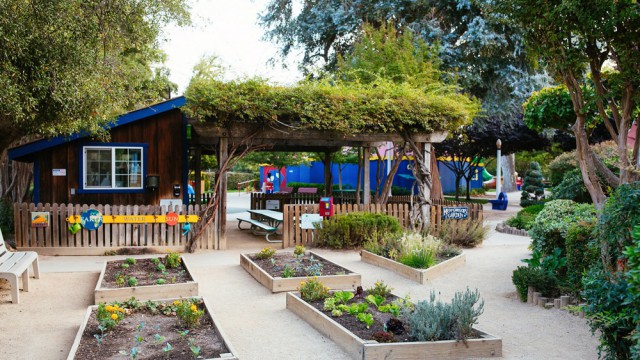 Green Thumb Party in Mr. McGregor's Garden